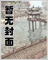 巫师的远征封面