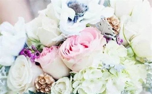 电影《寻找里美》_电影寻找里美在线观看