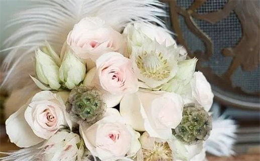 人猿泰山传奇探讨人与自然的深刻联系