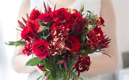 电影《埃及艳后的任务》(电影《埃及艳后的任务》剧情介绍)